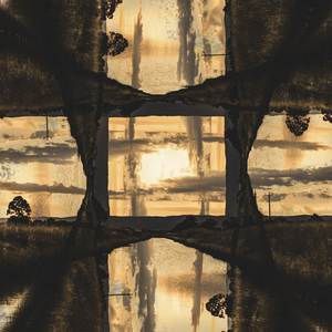 The Girl with the Chamomile Hair