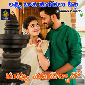 Nuvvoyetovallo (Laxmi Bava Maradalu Pilla)