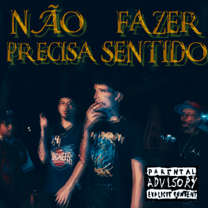 Não Precisa Fazer Sentido