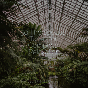 Wild Whirlwind Waltz