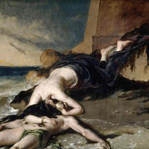 Infest My Open Wounds