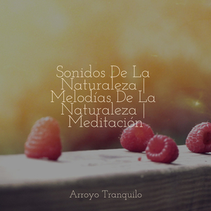 Serenidad Junto Al Fuego