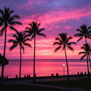 晚风一吹就心动