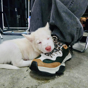 ก่อนจะนอน