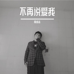 不再说爱我