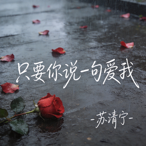 只要你说一句爱我