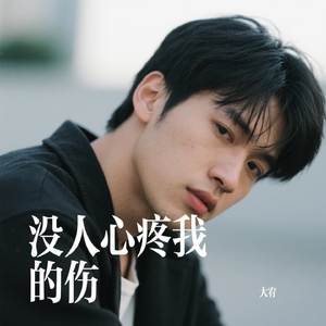 没人心疼我的伤