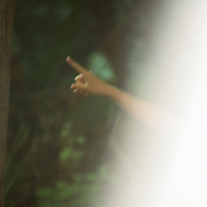 Palace of Sunflowers