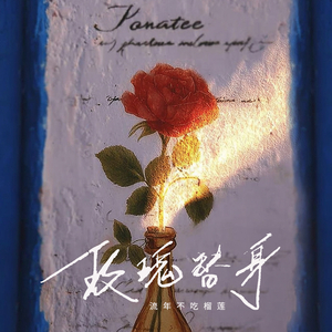玫瑰替身