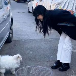 苏公堤-完整女生版