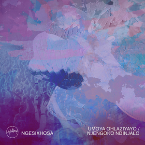 Njengoko Ndinjalo