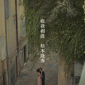 你我相逢 枯木逢春