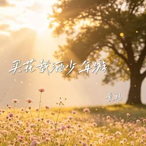 买花载酒少年游