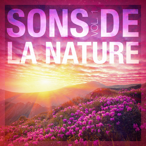 Sons des champs: sauterelles, corbeaux, insectes