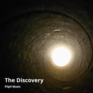 The Discovery (Chamber Orchestra)