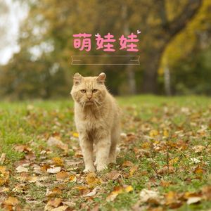 蜜兮兮 (八音盒)
