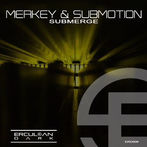 Submerge (Original Mix)