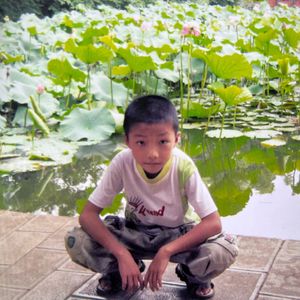吹来的