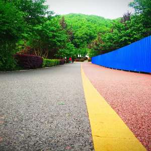 感恩我的恩人们，我很好