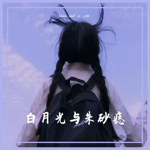 白月光与朱砂痣（升调版）