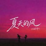 夏天的风 (R&B版) - 音乐的入门到改行 专辑封面