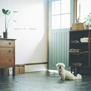 おはようって、