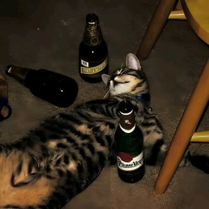 Neon Surge（Remix）