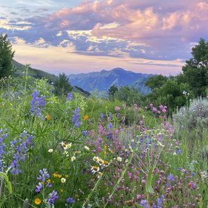 爱是共同撑一把漏雨的伞