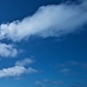 秀出你的龙年新皮肤