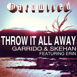 Throw It All Away (Radio Edit)