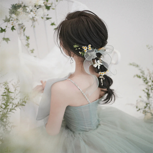 四川山水风光无限（快四 女奏）