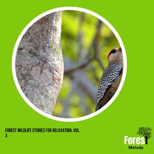 Enjoy the Bliss of Cricket Noise