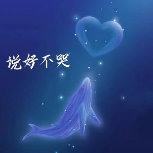 说好不哭
