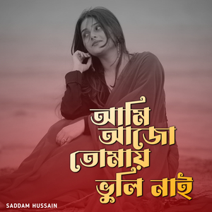 আমি আজো তোমায় ভুলি নাই