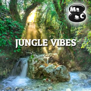 Jungle vibes