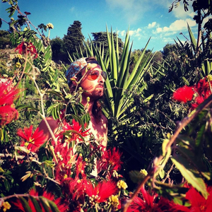 Le plumage de minuit