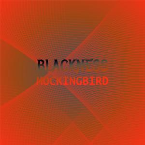 Blackness Mockingbird