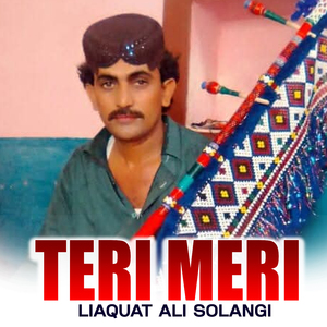 Teri Meri