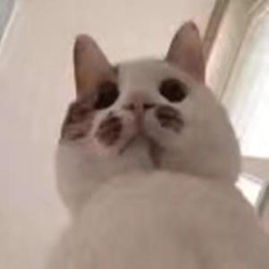 我喜欢你关你屁事！