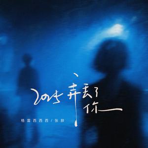 2025弄丢了你 (伴奏)