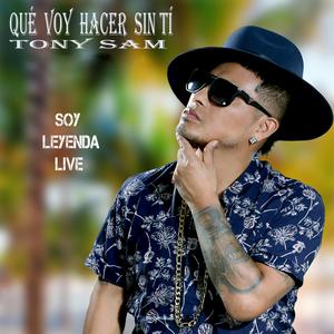 Que voy hacer sin ti