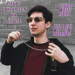 Пацы двигаются на опыте 2