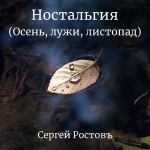 Ностальгия (Осень, лужи, листопад)