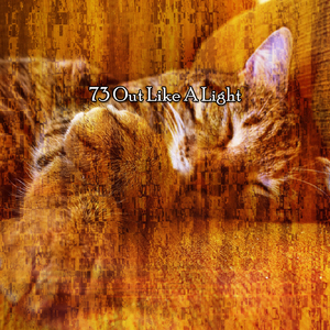 平静的夜晚休息