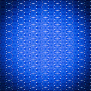 The Other Perspective