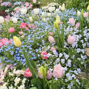 butterflies (feat. sai)