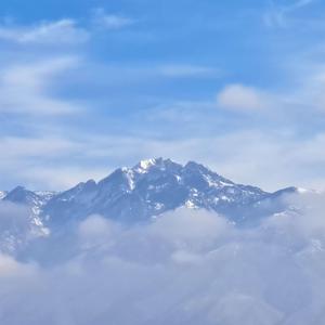 survive//willilivewillidie