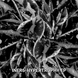 HYPERTROPHY SIXTH TAKE (44)