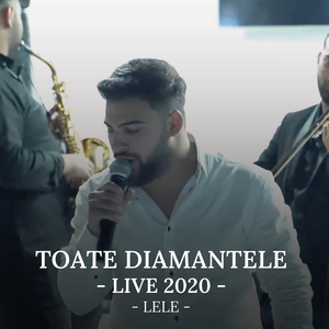 Toate diamantele (Live)