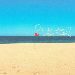 se eu disser o que sinto?